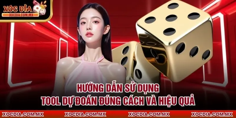 Hướng dẫn sử dụng tool dự đoán đúng cách và hiệu quả